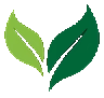 Cottonwood Solutions logo